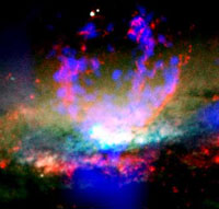 Forr�s: NASA
