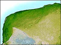 Forr�s: ORIGO