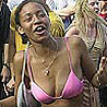Forr�s: ==