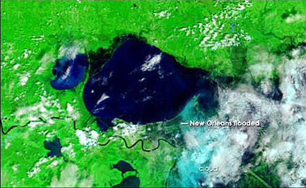 Forr�s: NASA