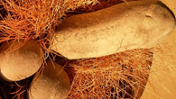 Forr�s: [origo]