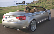Forr�s: Citroen