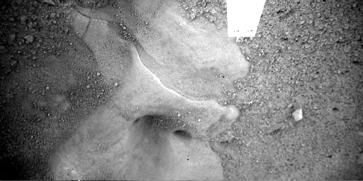 Forrás: NASA, JPL, Caltech, UA