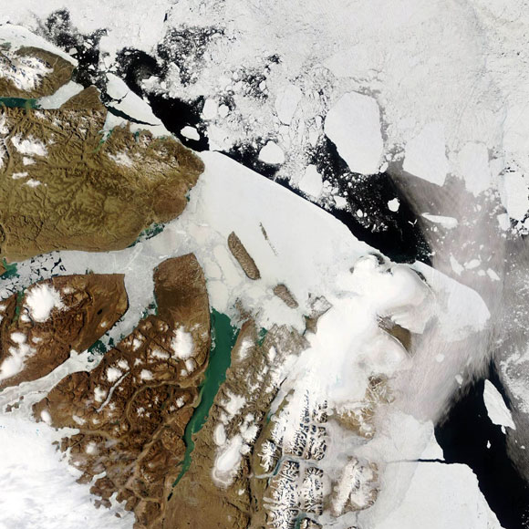 Forr�s: NASA