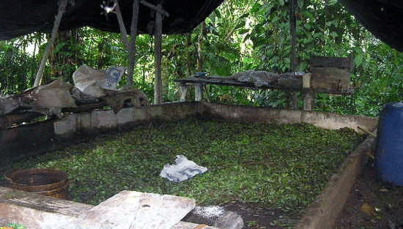 Forr�s: [origo]