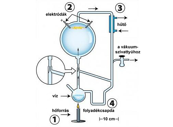 Forr�s: a Science daily nyom�n