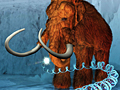 Forr�s: rw.mammoth.psu.edu