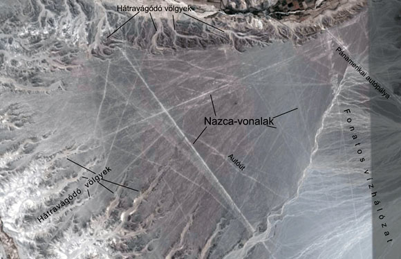 Forr�s: Google Earth