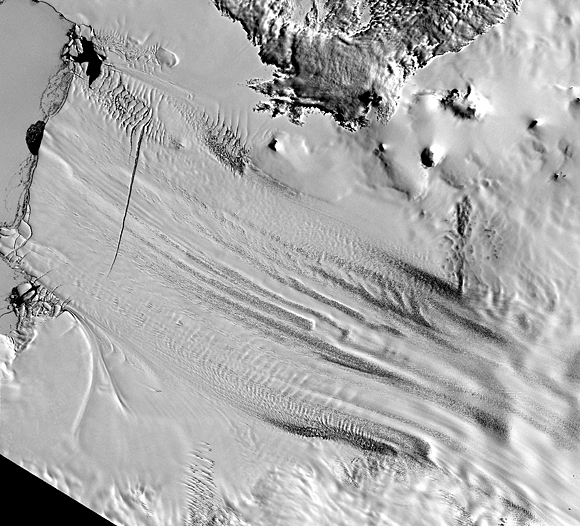 Forr�s: NASA