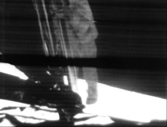 Forr�s: NASA