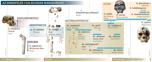 Forr�s: Science/AAAS