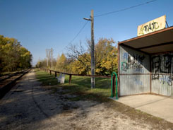 Forrás: MTI Forrás: MTI