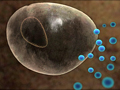 Nanotechnol�gia