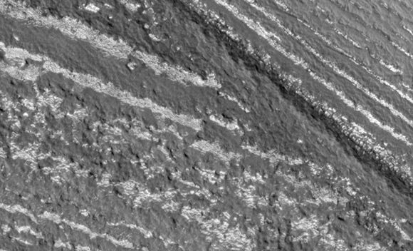 Forr�s: NASA