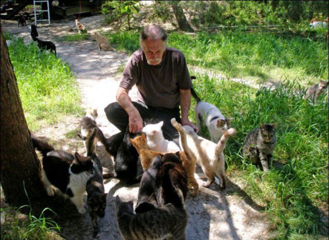 Forr�s: http://www.caboodleranch.com/