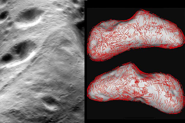 Forrás: Buczkowski et al. 2009 Forrás: Buczkowski et al. 2009