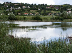 Fot�: Tuba Zolt�n [origo]