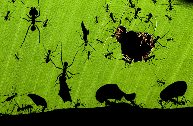 Forrás: WPY/Máté Bence Forrás: WPY/Máté Bence