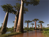 Madagaszk�r