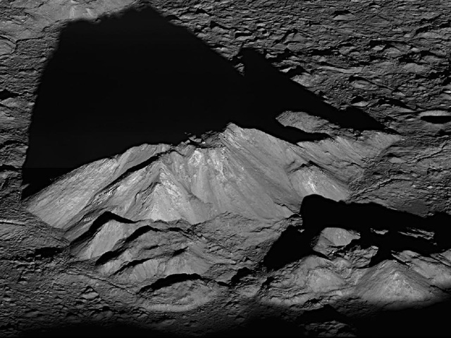 Forr�s: NASA
