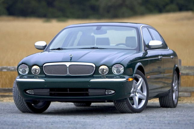 Forr�s: Jaguar