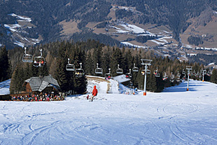 Forr�s: Flickr/zerok