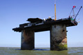 Forr�s: Wikimedia Commons