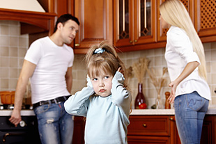 Forr�s: Thinkstock